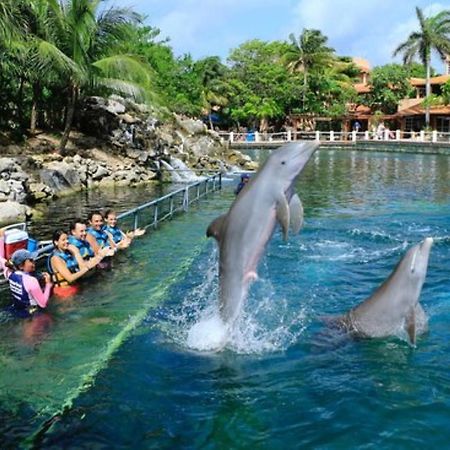 Increible Estudio En Puerto Aventuras, Condominio Con Alberca # 201 Екстериор снимка